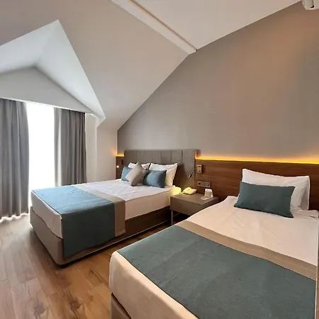 Story & Hotel